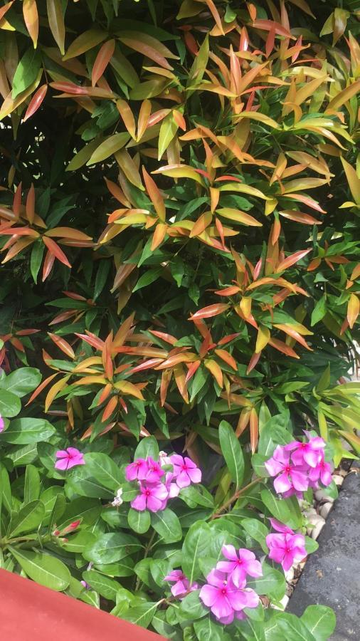 Kubu Green Nusa Dua  Ngoại thất bức ảnh